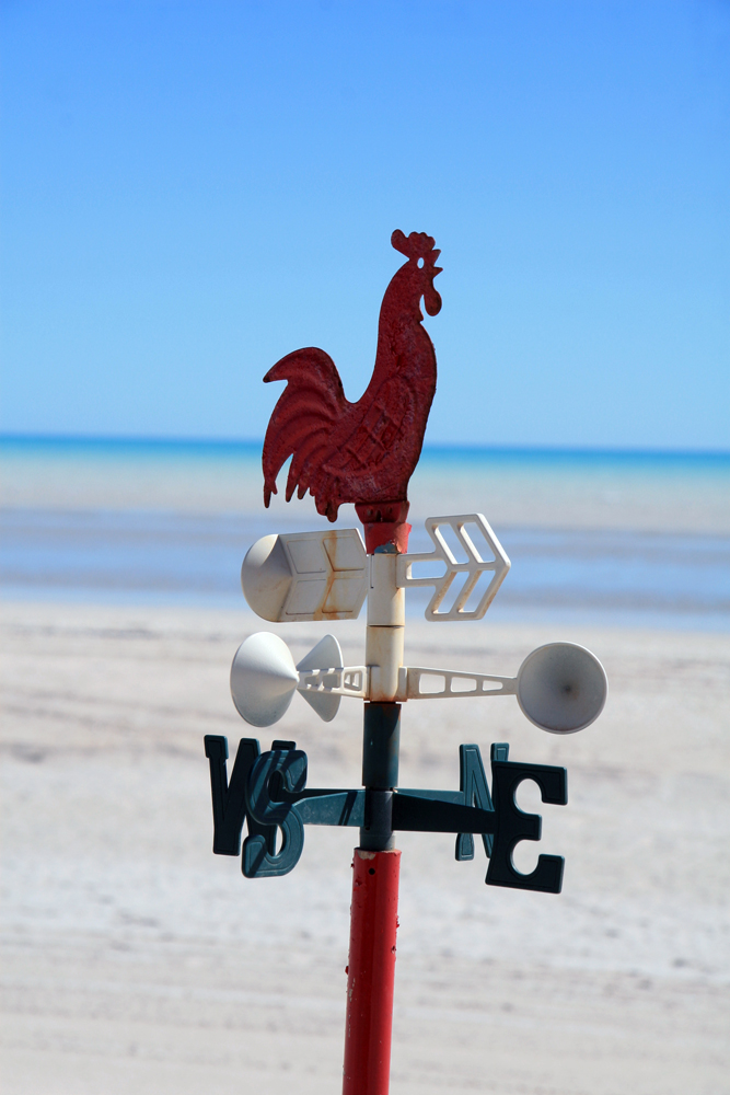 AUSTRALIE Coq 80 Miles beach WA 2009