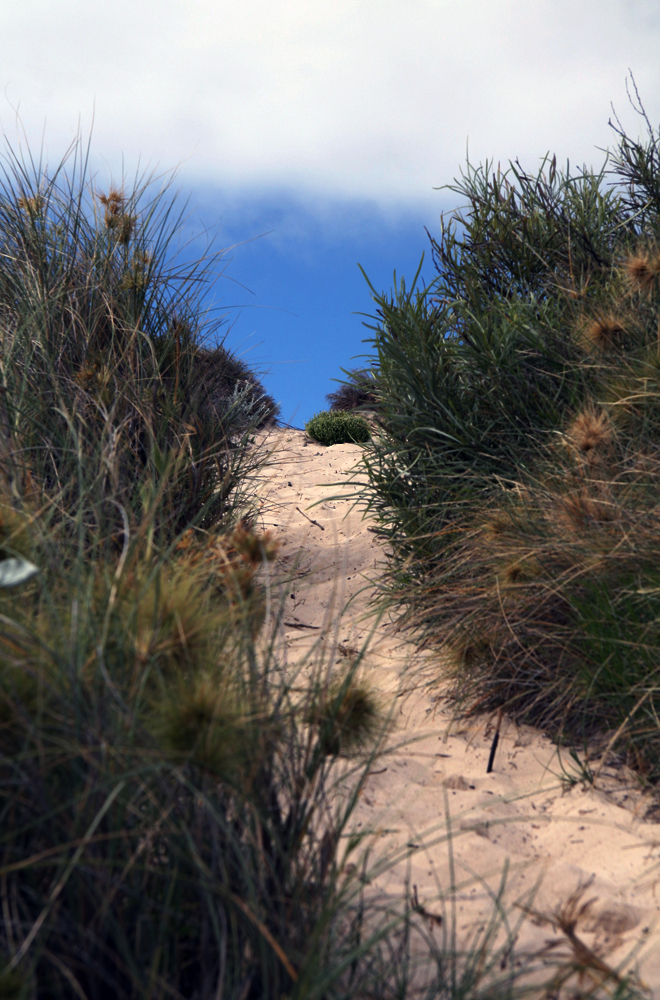 AUSTRALIE Dune Coral Bay WA