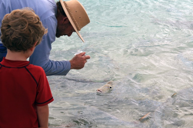 AUSTRALIE On nourrit les poissons Coral Bay