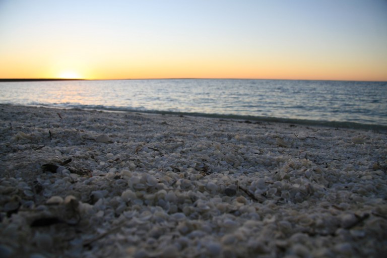 AUSTRALIE Shell beach au coucher du soleil WA