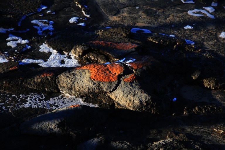AUSTRALIE Stromatolites 2009