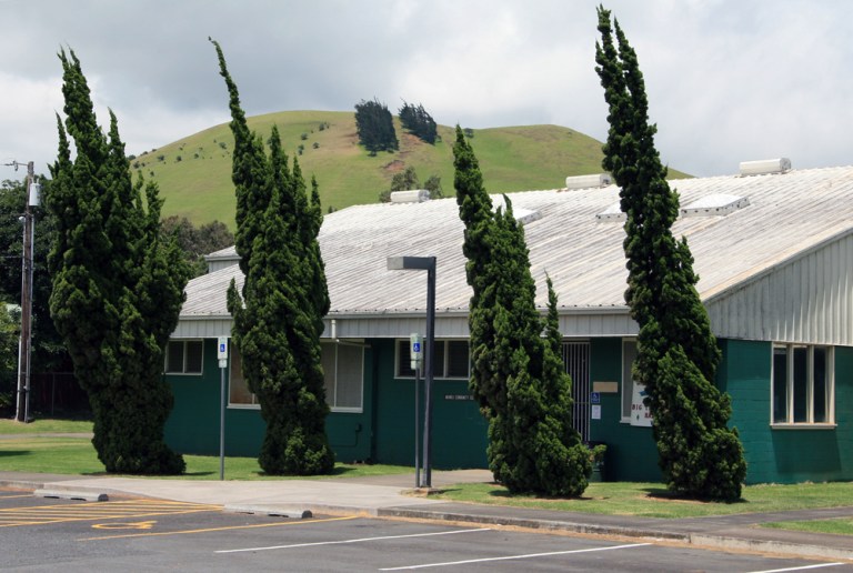 HAWAII arbres penches par la force du vent Waimea Big Island 2009