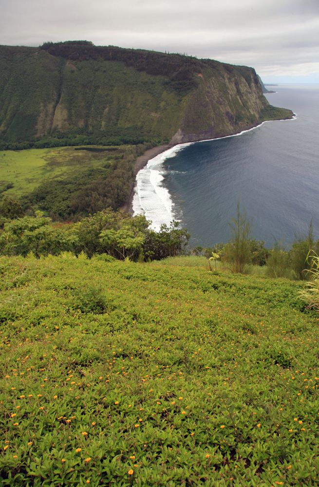 HAWAII Big Island Waipi'O Bay Overlook