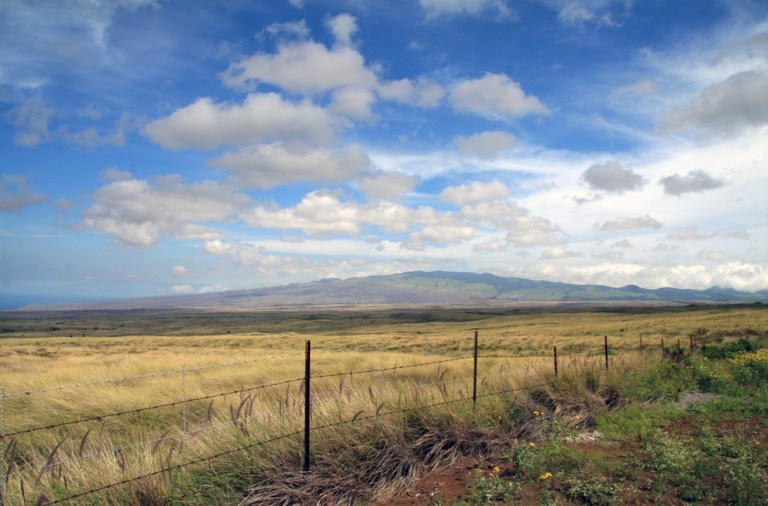 Paysage nord Big Island Hawaii