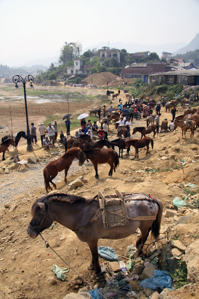 VIETNAM Chevaux au marche de Bac Ha