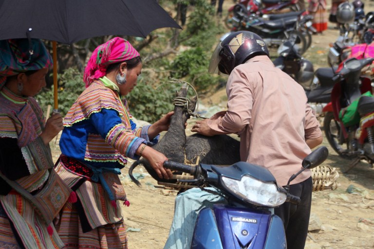 VIETNAM Marche de Bac Ha 2009