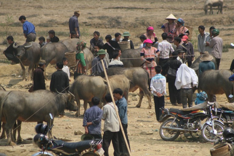 VIETNAM Marche du dimanche Bac Ha