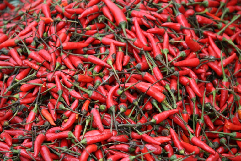 VIETNAM Piments marche de Bac Ha 2009