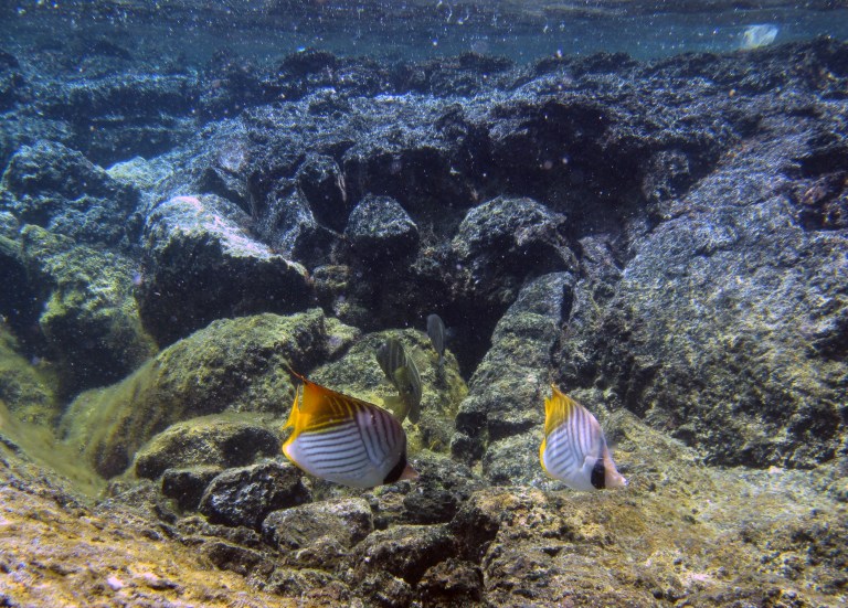 hawaii-kapoho-tide-pools